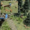 Папоротники и грибы (декор) Busch НО (1203)
